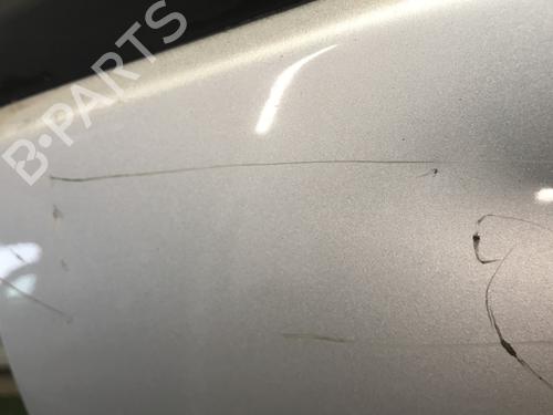 Left front door RENAULT SCÉNIC II (JM0/1_) 1.9 dCi (JM0G, JM12, JM1G, JM2C) | BP30171747C2