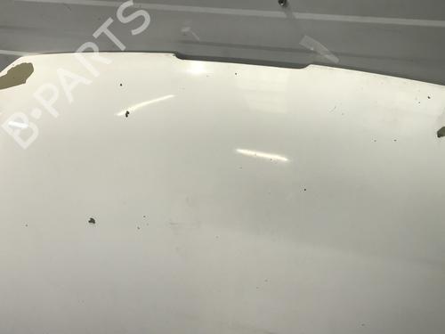 Capot PEUGEOT 206 Hatchback (2A/C) 1.4 HDi eco 70 (68 hp) 30888471