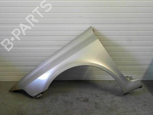 Left front fenders RENAULT LAGUNA II (BG0/1_) 1.9 dCi | BP25646549C41 
