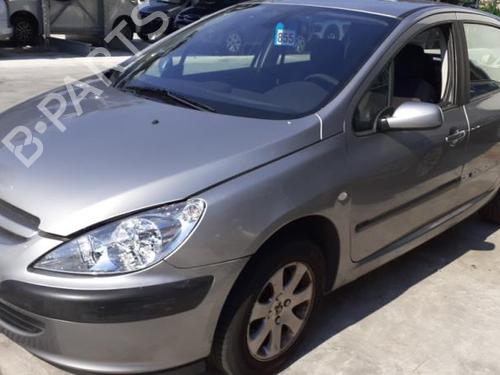 Hood PEUGEOT 307 (3A/C) 2.0 HDi 90 | BP25645679C1 
