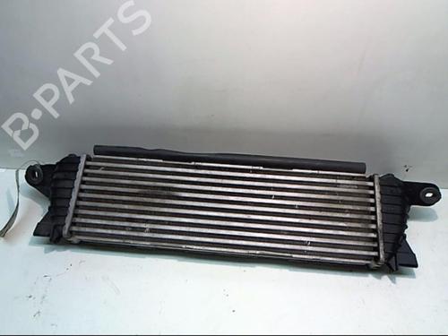 Intercooler RENAULT KANGOO (KC0/1_) 1.9 dCi 4x4 | BP25641548M30 - Image 2