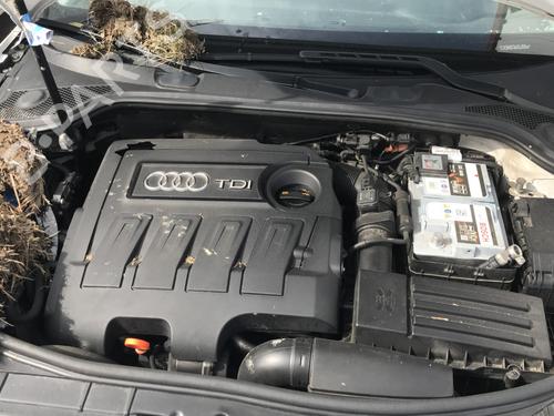 Starter AUDI A3 (8P1) 1.6 TDI | BP31049124M8  - Image 18