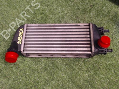 Used Intercooler Intercooler FORD KA (RU8) 1.3 TDCi (75 hp) 25629245 25629245