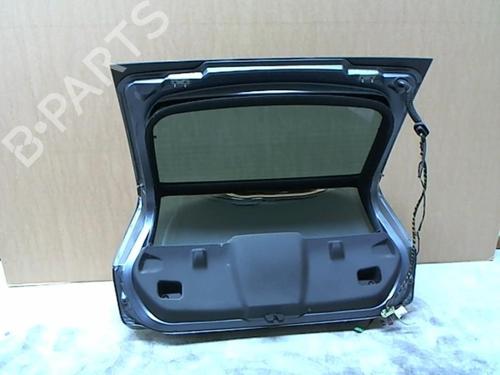 Used Tailgate Tailgate 25651237 25651237
