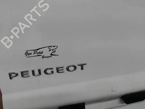 Left tailgate PEUGEOT EXPERT Van (VF3A_, VF3U_, VF3X_) 1.6 HDi 90 8V | BP29113767C76 