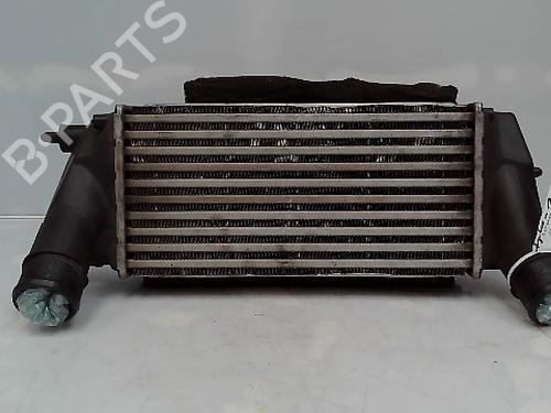 Intercooler Intercooler 38081204 38081204