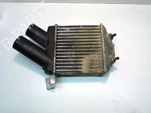 Used Intercooler Intercooler RENAULT SCÉNIC I MPV (JA0/1_, FA0_) 1.9 dCi (JA05, JA1F) (102 hp) 25651434 25651434