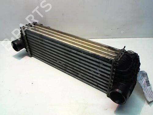 Used Intercooler Intercooler FORD TRANSIT CONNECT (P65_, P70_, P80_) [2002-2026] 25634186 25634186