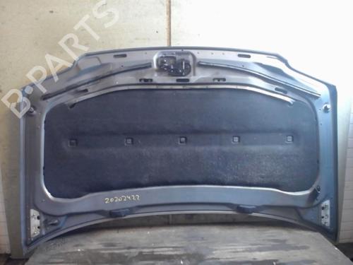 Used Hood Hood 25651021 25651021