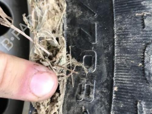 Starter RENAULT KANGOO Express (FC0/1_) 1.5 dCi (FC08, FC09) | BP25644802M8  - Image 16