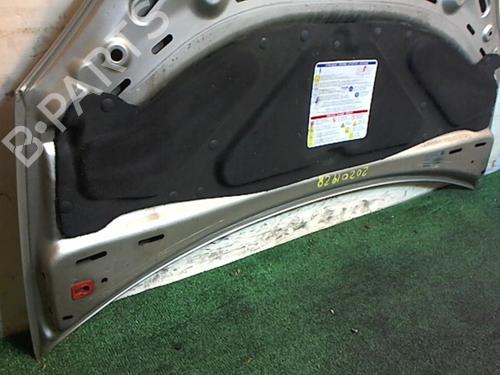 Hood LANCIA MUSA (350_) 1.9 D Multijet (350.AXC1A) | BP25650728C1 