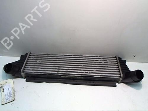 Intercooler RENAULT KANGOO (KC0/1_) 1.9 dCi 4x4 | BP25641548M30 - Image 3
