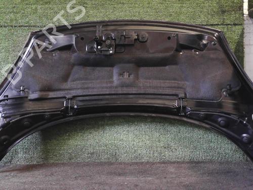 Hood RENAULT SCÉNIC III (JZ0/1_) 1.5 dCi (JZ02, JZ0R) | BP25628718C1