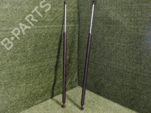 Gasdæmper bagklap RENAULT ESPACE IV (JK0/1_) 2.0 dCi (JK01, JK02, JK1J, JK1K, JK1H) (150 hp) 25631825