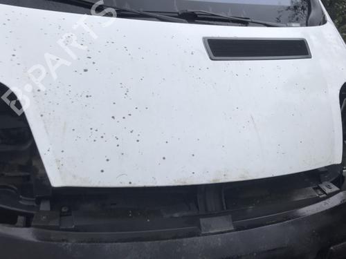 Cofano anteriore RENAULT TRAFIC II Van (FL) 1.9 dCi 80 (FL0B) | BP30815471C1 
