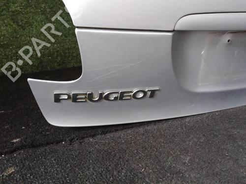 Bakluke CC/Kombi-Kupé PEUGEOT 206 CC (2D) 1.6 16V (2DNFUF, 2DNFUR) | BP25628638C6 