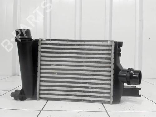 Used Intercooler Intercooler DACIA SANDERO II 1.0 TCe 100 (B8ML) (101 hp) 25634657 25634657