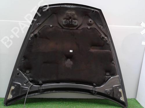 Hood RENAULT LAGUNA Coupe (DT0/1) 2.0 dCi (DT01, DT08, DT09, DT0K, DT12, DT1C, DT1D, DT1M,... | BP28327597C1 