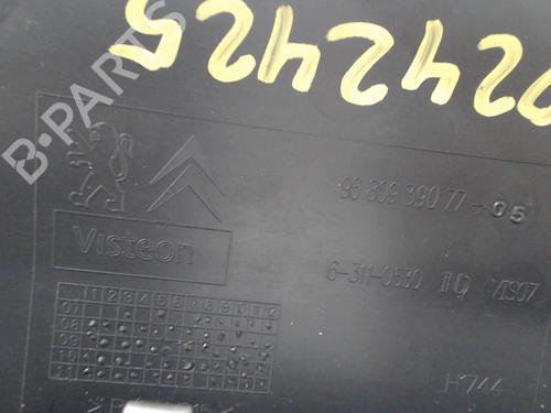 Display monitor PEUGEOT PARTNER Box Body/MPV 1.6 HDi | BP28544612C48 