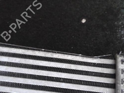 Intercooler RENAULT LATITUDE (L70_) 2.0 dCi 150 (L70H) | BP25639494M30  - Image 5