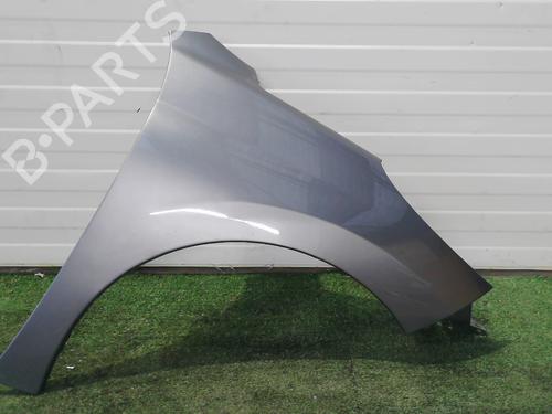 Used Right front fenders PEUGEOT 207 (WA_, WC_) 1.6 HDi (92 hp) 29956239