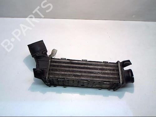 Used Intercooler SEAT CORDOBA (6K1, 6K2) 1.9 TDI (90 hp) 25638049