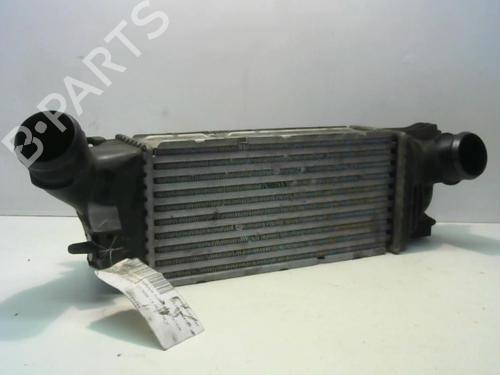 Used Intercooler Intercooler CITROËN C5 II (RC_) 1.6 HDi (RC8HZB) (109 hp) 25641331 25641331