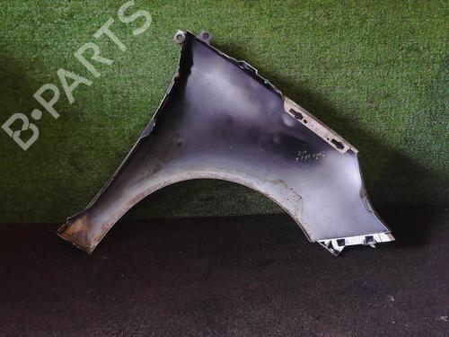 Left front fenders RENAULT SCÉNIC III (JZ0/1_) 1.5 dCi | BP25644909C41 