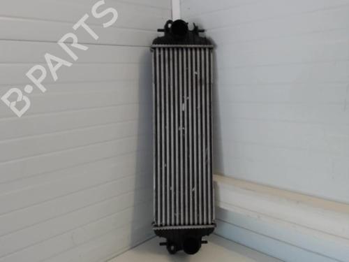 Used Intercooler RENAULT TRAFIC II Van (FL) 1.9 dCi 100 (FL0C) (101 hp) 25637118