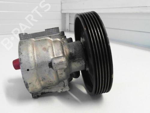 Steering pump RENAULT LAGUNA II (BG0/1_) 1.9 dCi | BP25646589M99 