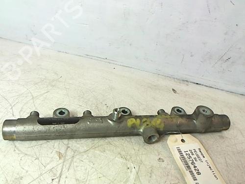 Used Injection rail PEUGEOT 206 SW (2E/K) 2.0 HDi (90 hp) 25649537