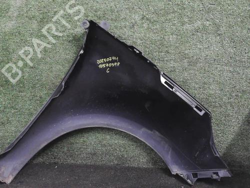 Left front fenders RENAULT SCÉNIC III (JZ0/1_) 1.5 dCi | BP25871545C41 