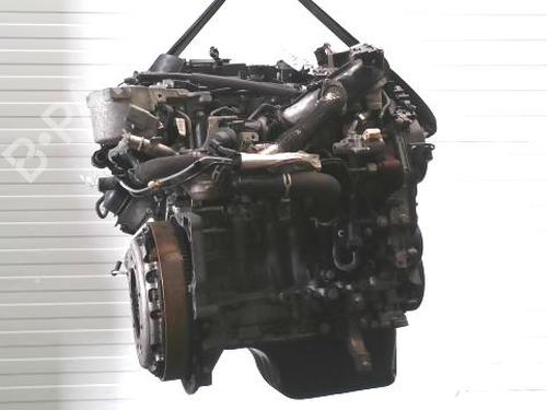 Engine FORD C-MAX II (DXA/CB7, DXA/CEU) 1.6 TDCi | BP37417260M1 - Image 3