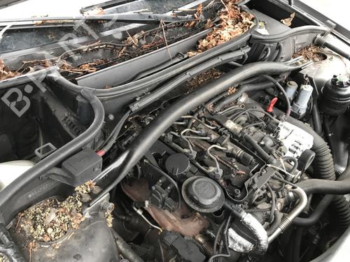 Køler BMW X3 (E83) xDrive 20 d | BP26977854M31 