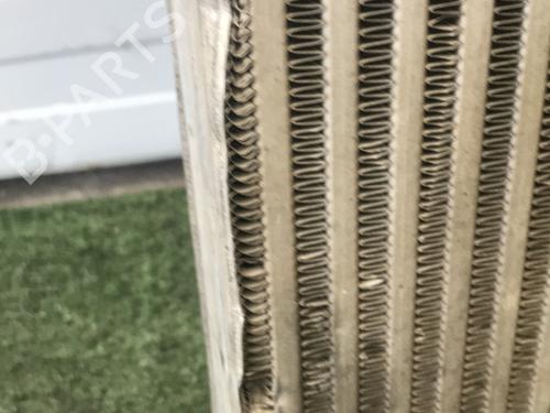 Intercooler RENAULT MASTER III Van (FV) 2.3 dCi 100 FWD (FV0A, FV0B, FV0G, FV0K, FV0H) (101 hp) 30484966