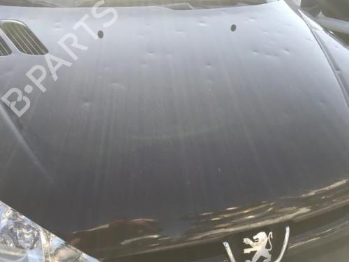 Right headlight PEUGEOT 206 Hatchback (2A/C) 2.0 HDI 90 | BP25641756C29 