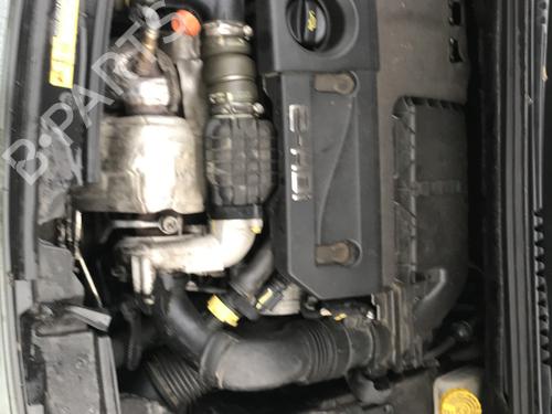 - Image 5