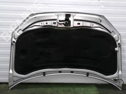 Capot Capot VW POLO IV (9N_, 9A_) 1.4 TDI (70 hp) 33850239 33850239