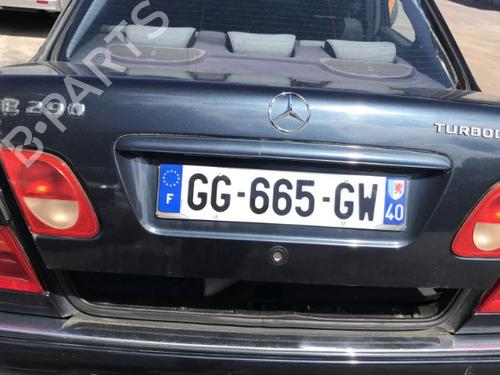 Left front door MERCEDES-BENZ E-CLASS (W210) E 290 Turbo-D (210.017) | BP25644675C2 
