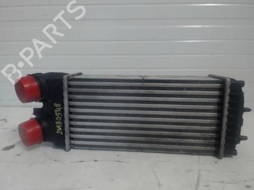 Used Intercooler Intercooler PEUGEOT PARTNER MPV (5_, G_) [1996-2026] 25632089 25632089