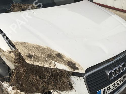 Gearbox AUDI A3 (8P1) 1.6 TDI | BP28015286M3 