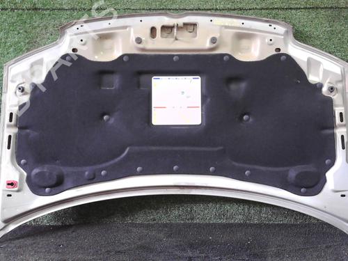 Used Hood Hood FIAT PANDA (169_) 1.3 D Multijet 4x4 (169.AXC2A) (70 hp) 25650030 25650030