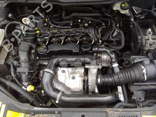 Køler VOLVO V50 (545) 1.6 D | BP25635257M31 