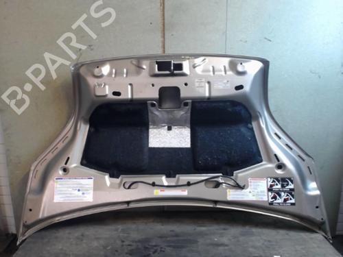 Hood CITROËN NEMO MPV 1.3 HDi 75 | BP25645712C1 