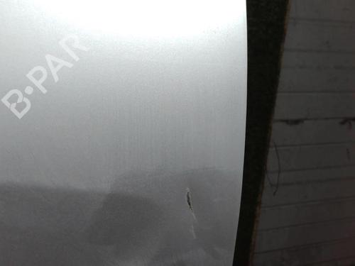 Right front door OPEL MERIVA B MPV (S10) 1.7 CDTI (75) | BP25638899C3 