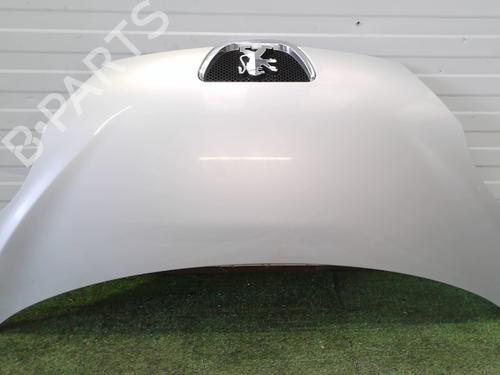 BP29897994C1 main image