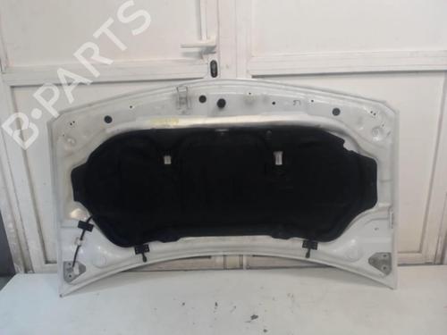Hood RENAULT MEGANE II (BM0/1_, CM0/1_) 1.5 dCi (BM02, BM13, BM2A, CM02, CM13) | BP25643390C1 