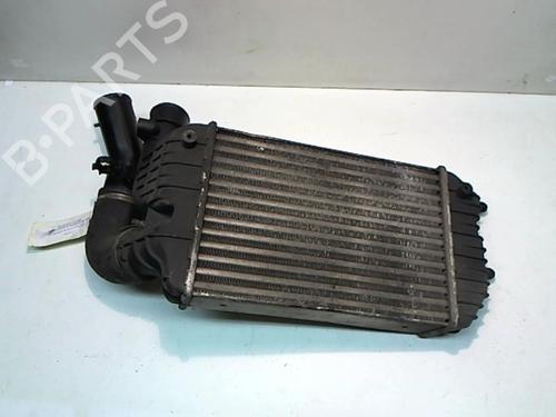 Used Intercooler Intercooler PEUGEOT BOXER Platform/Chassis (ZCT_) 2.5 TDI (107 hp) 25637991 25637991