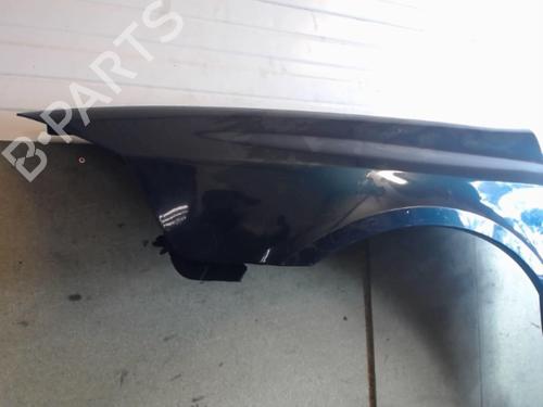 Used Left front fenders RENAULT LAGUNA II (BG0/1_) 1.9 dCi (BG1A, BG1W, BG0G) (110 hp) 25645560