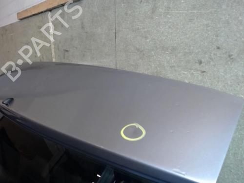 Used Tailgate Tailgate FIAT CROMA (194_) 1.9 D Multijet (194AXC1B, 194AXC12) (150 hp) 25632826 25632826